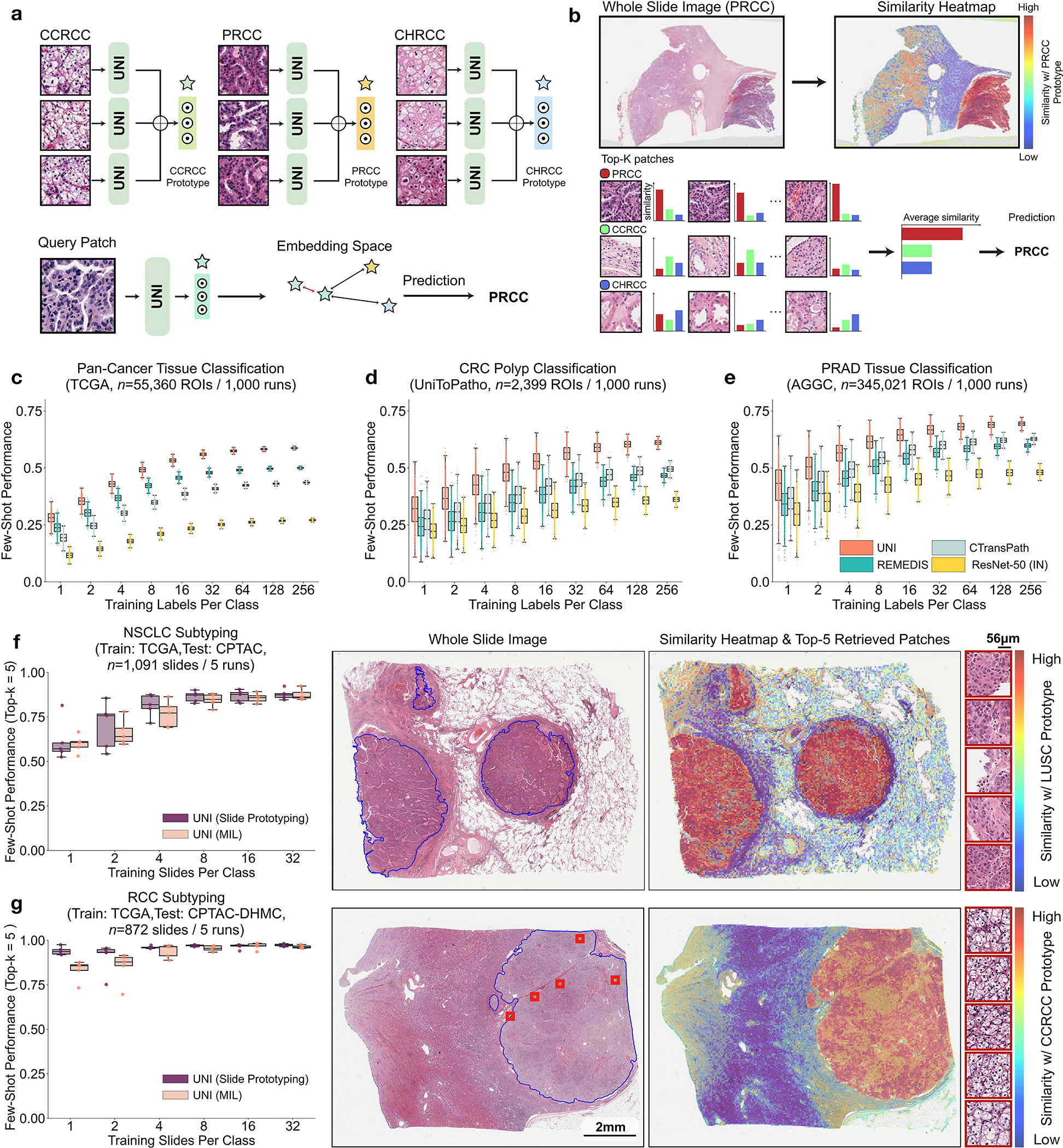 Fig. 4: