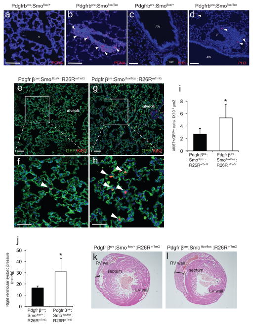 ED Figure 3