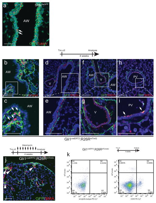 ED Figure 1