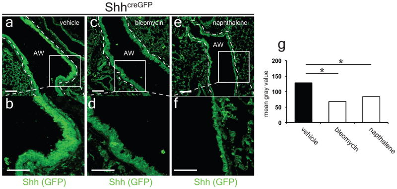 ED Figure 5