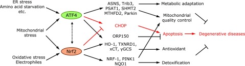 Fig. 6