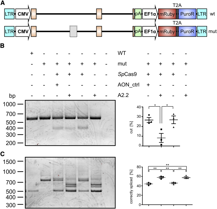 Figure 3