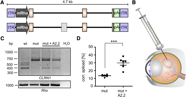 Figure 5