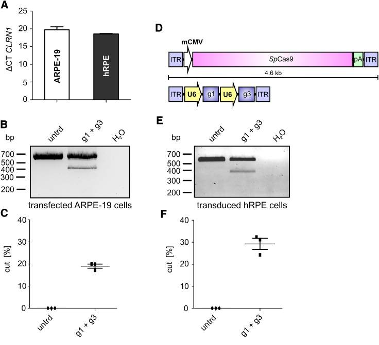 Figure 4