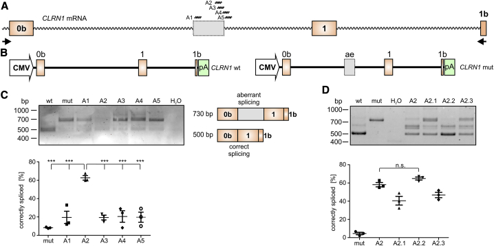 Figure 2