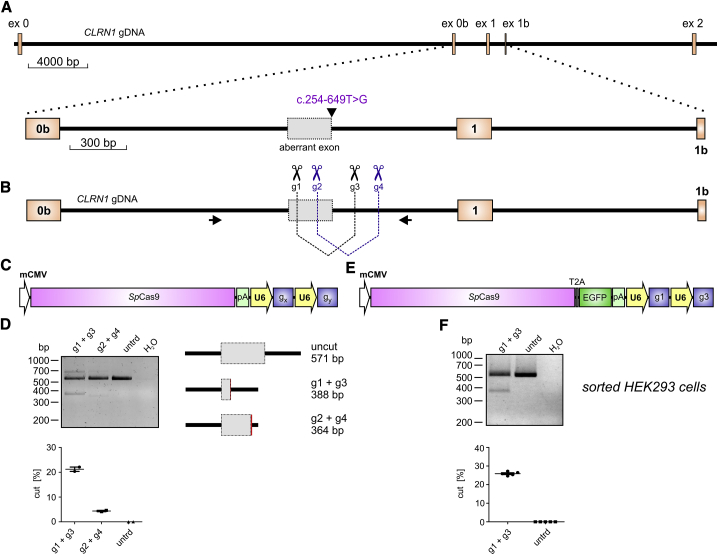 Figure 1