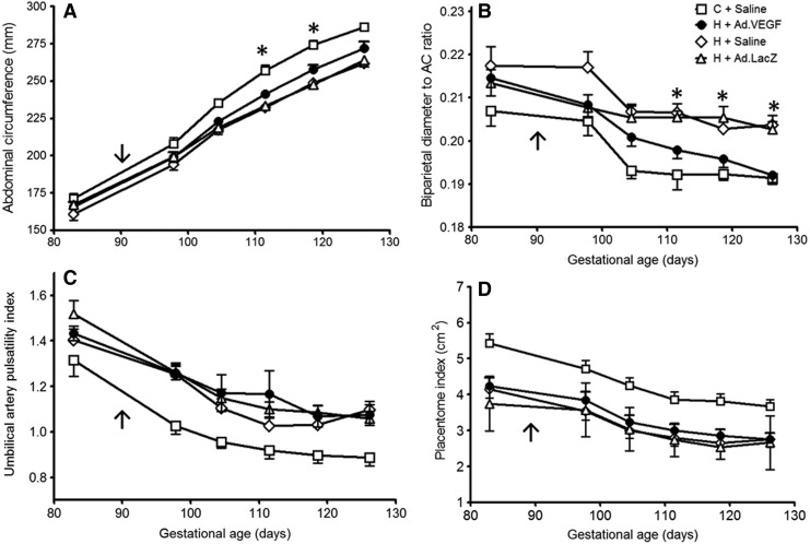 FIG. 1.