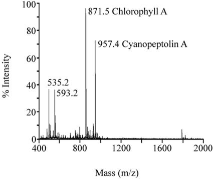 FIG. 5.