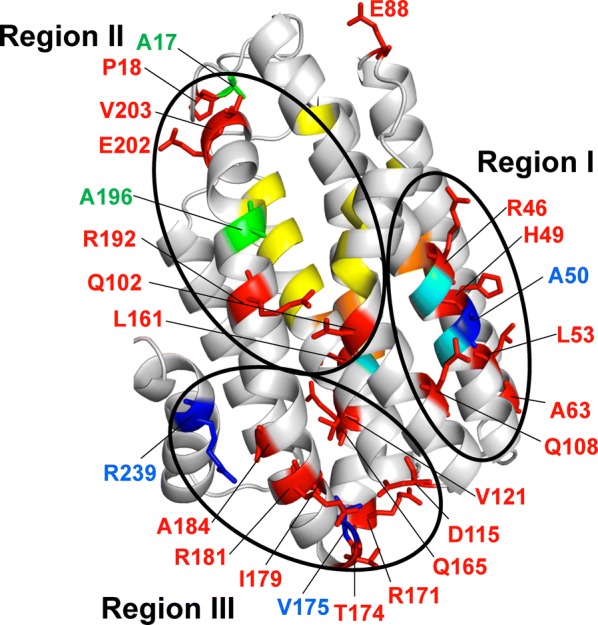 Fig. 6