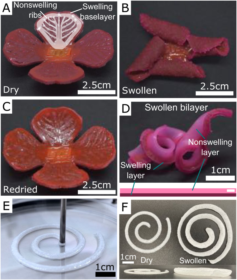 Fig. 4