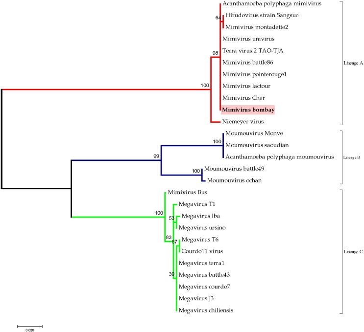 Fig. 2