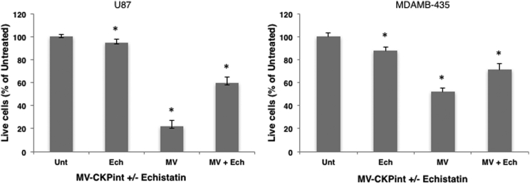 Figure 5