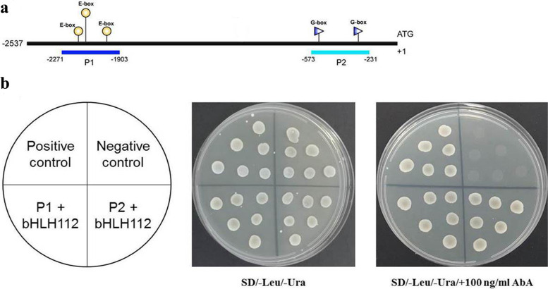 Fig. 6