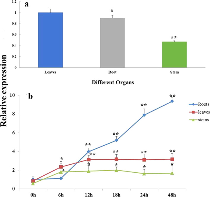 Fig. 1