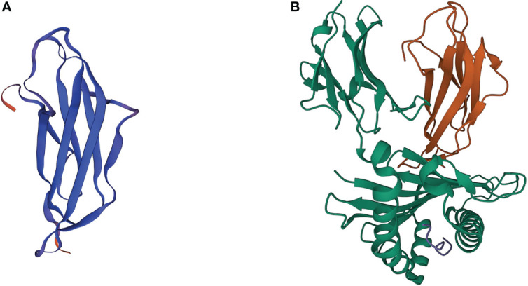 Figure 1