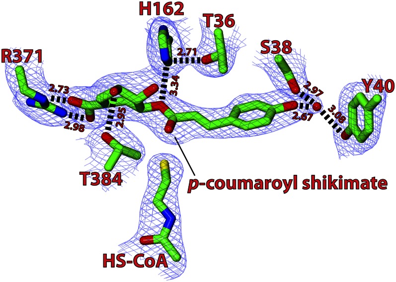 Figure 2.