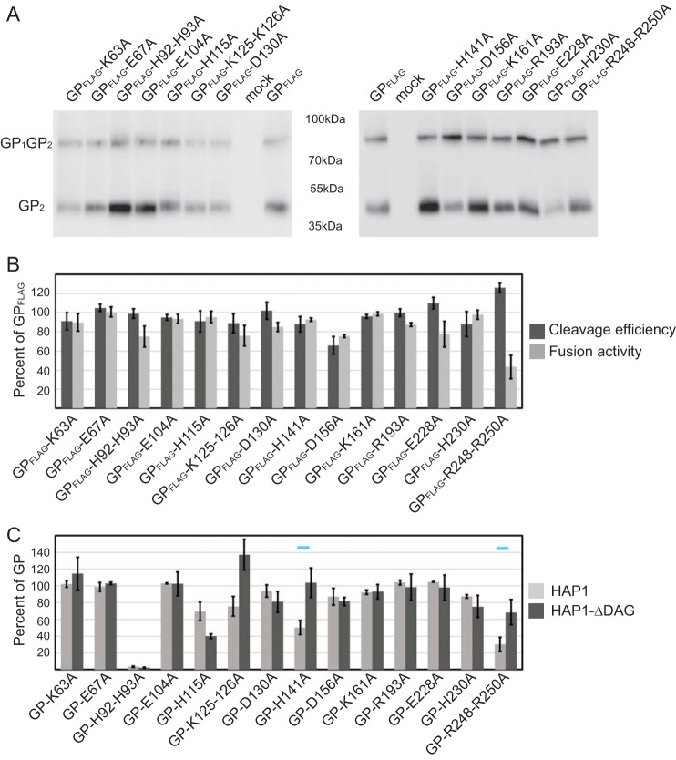 FIG 6