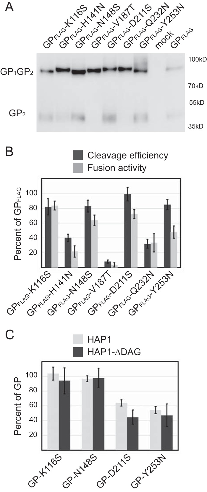 FIG 3