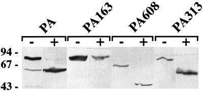 FIG. 5