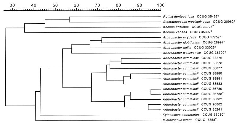 FIG. 1