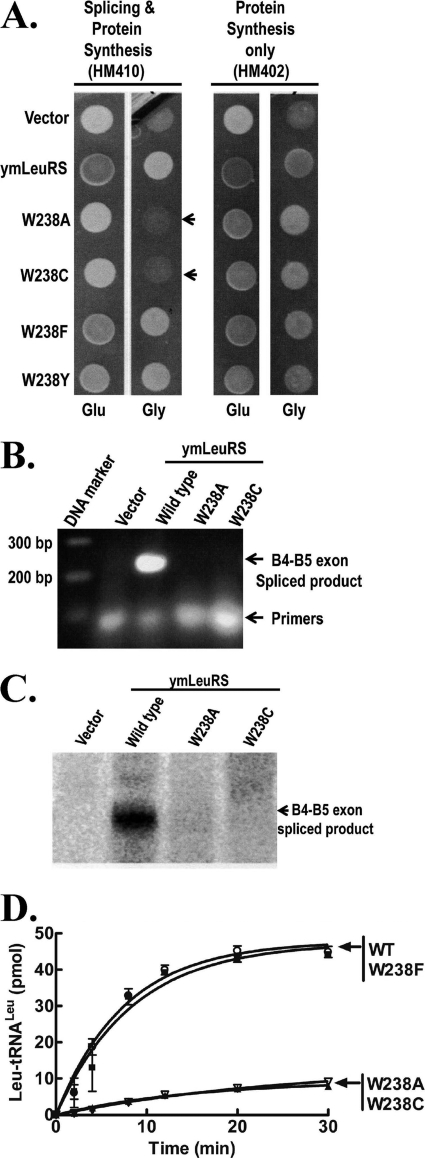 FIGURE 6.