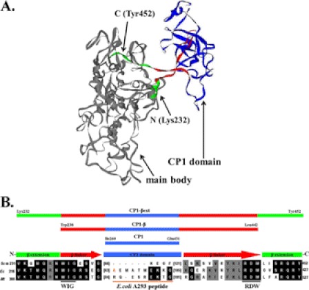 FIGURE 1.