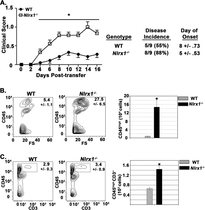 FIGURE 4.