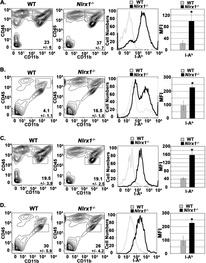 FIGURE 5.