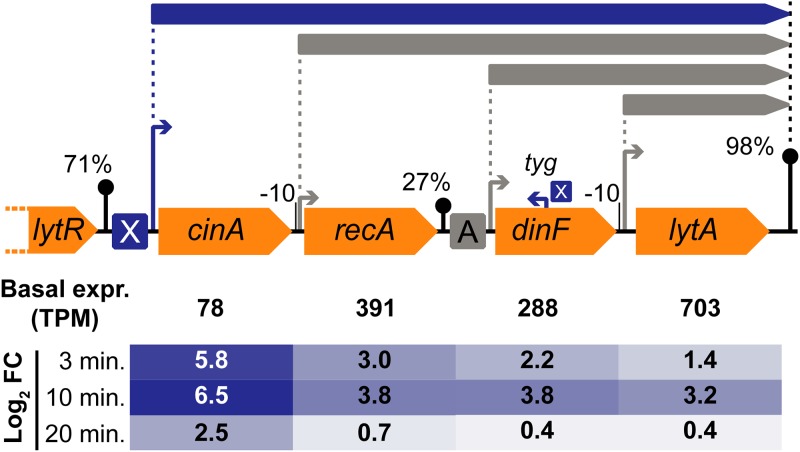 FIG 6