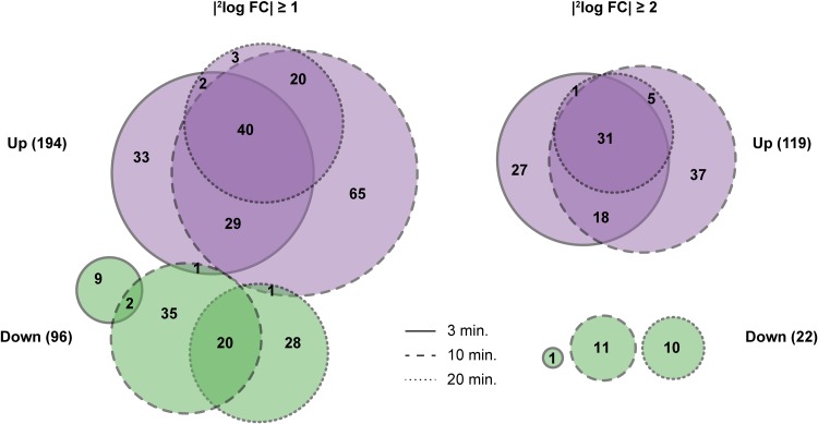 FIG 2