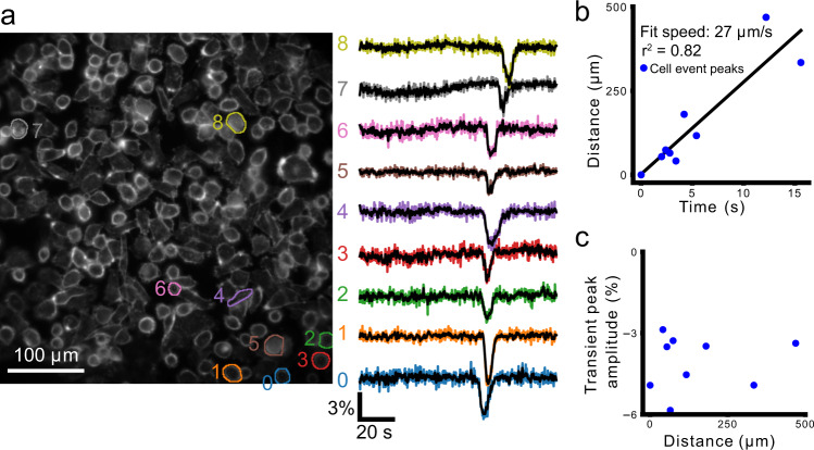 Fig. 10