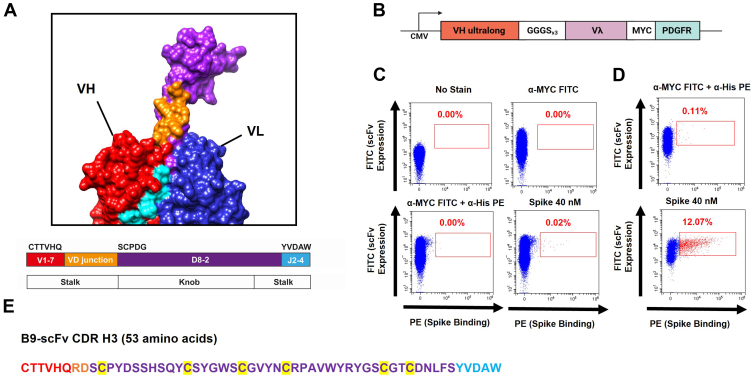 Figure 1