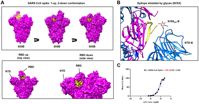 Figure 6