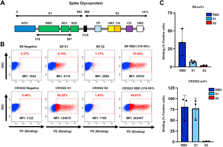 Figure 2