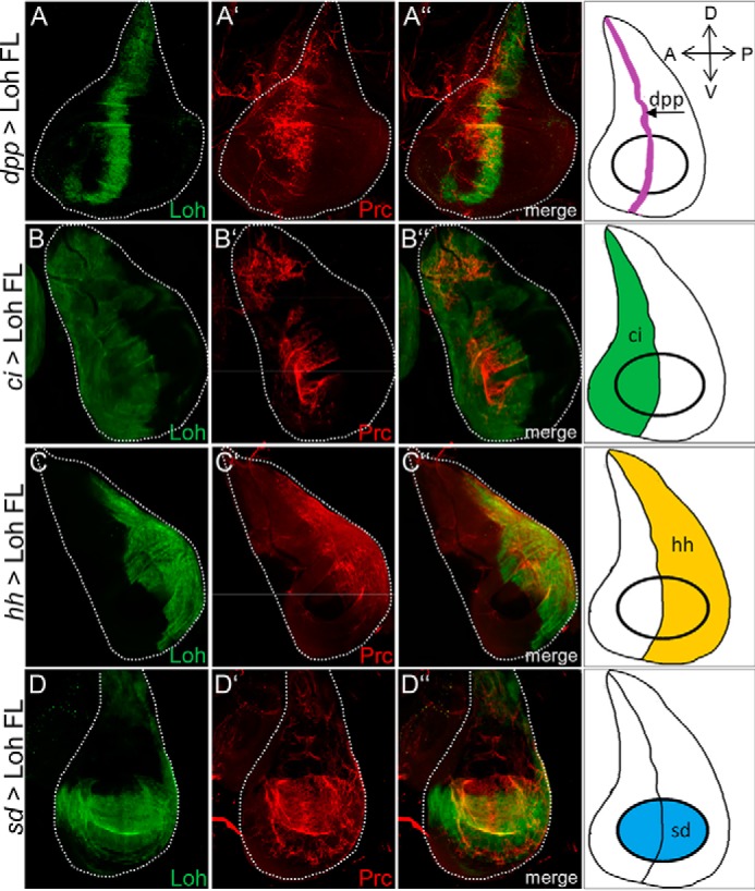 Figure 6.