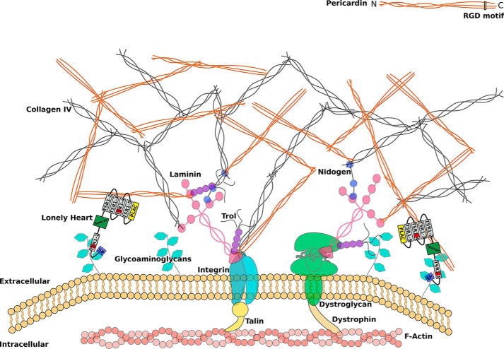 Figure 10.