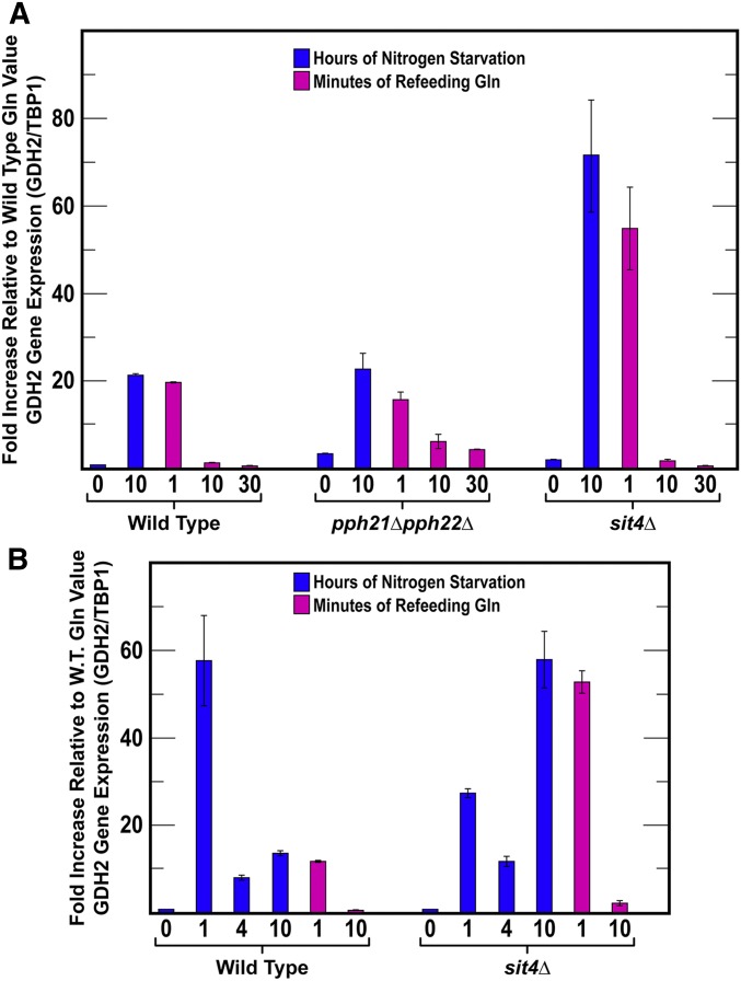 Figure 10