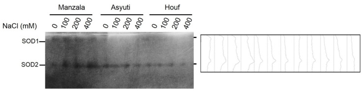 Figure 12