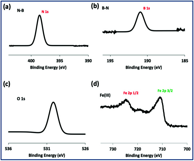 Fig. 10