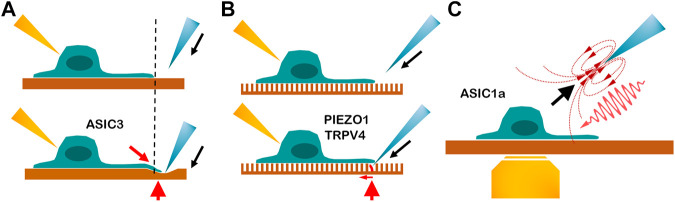 FIGURE 2