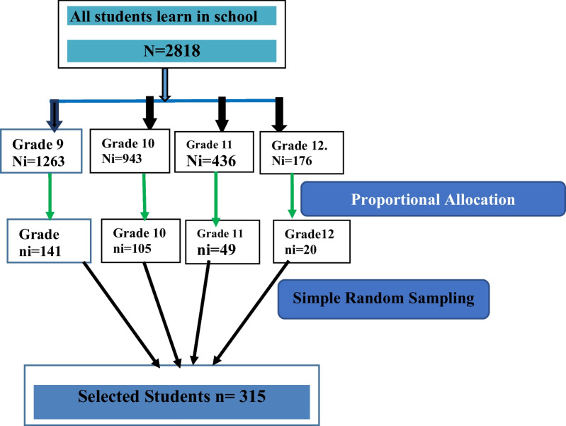 Fig.  1