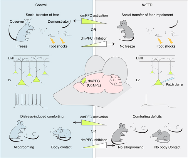 graphic file with name nihms-1865840-f0005.jpg