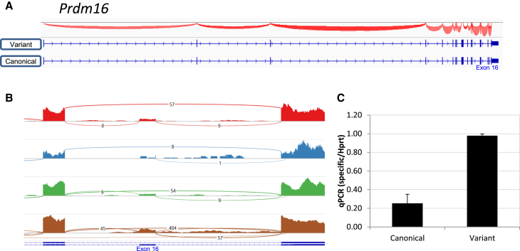 Figure 4