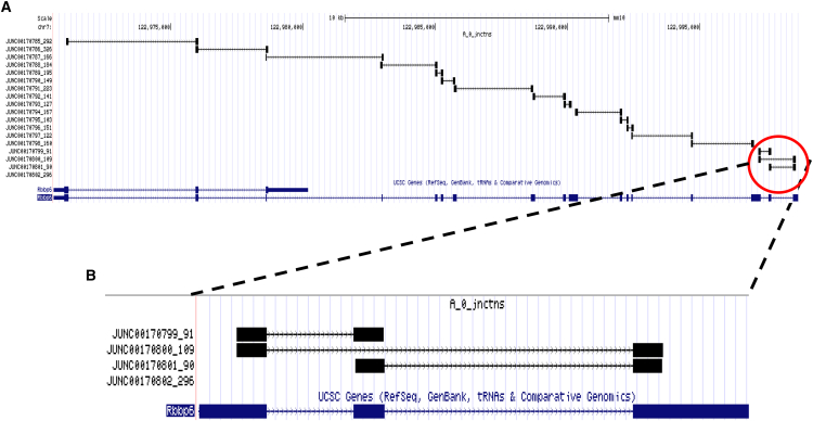 Figure 7