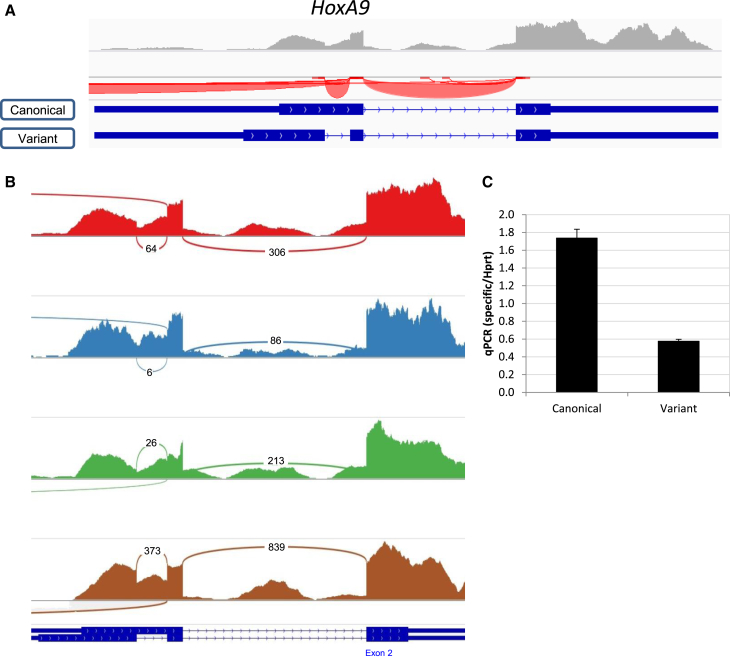 Figure 3