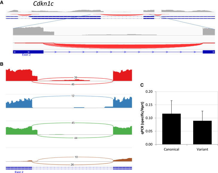 Figure 5