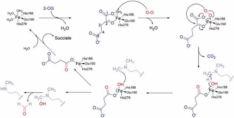 Figure 4.