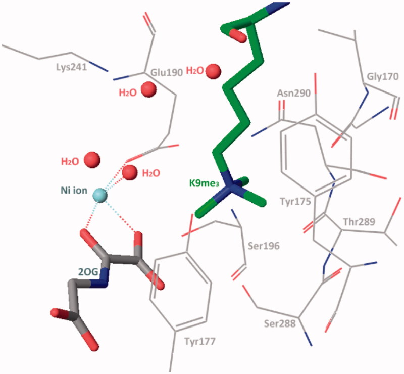 Figure 3.