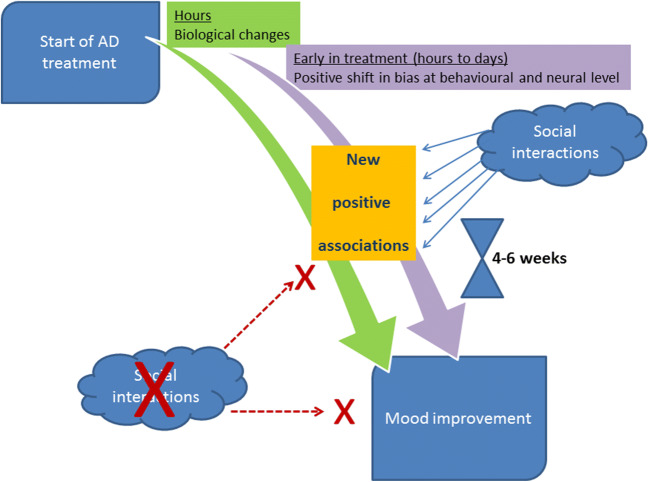 Cognitive neuropsychological theory of antidepressant action: a modern ...