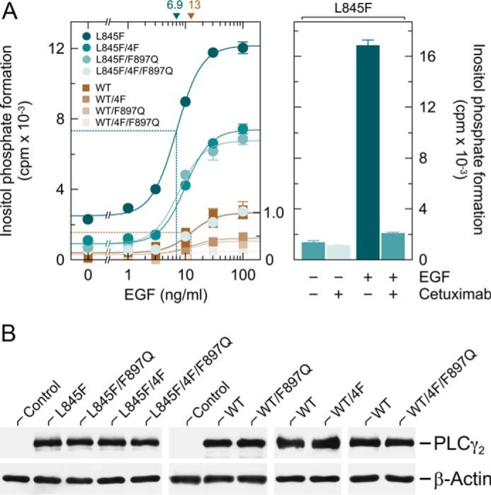 FIGURE 10.